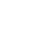 The American Board of Plastic Surgery