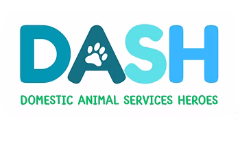 Dash