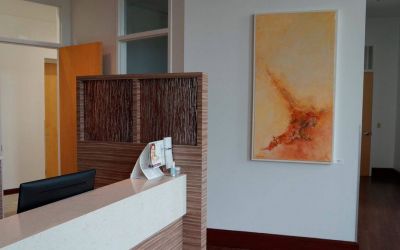 plastic surgeon consultation